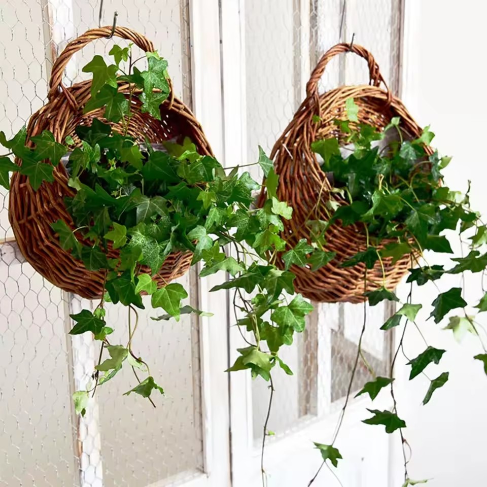 Rattan Plant Basket - 手作りの籐製フラワーポット、壁掛け式籐製バスケット、ガーデンバインポット、植物ホルダー、ガーデンポット、壁掛けプランター