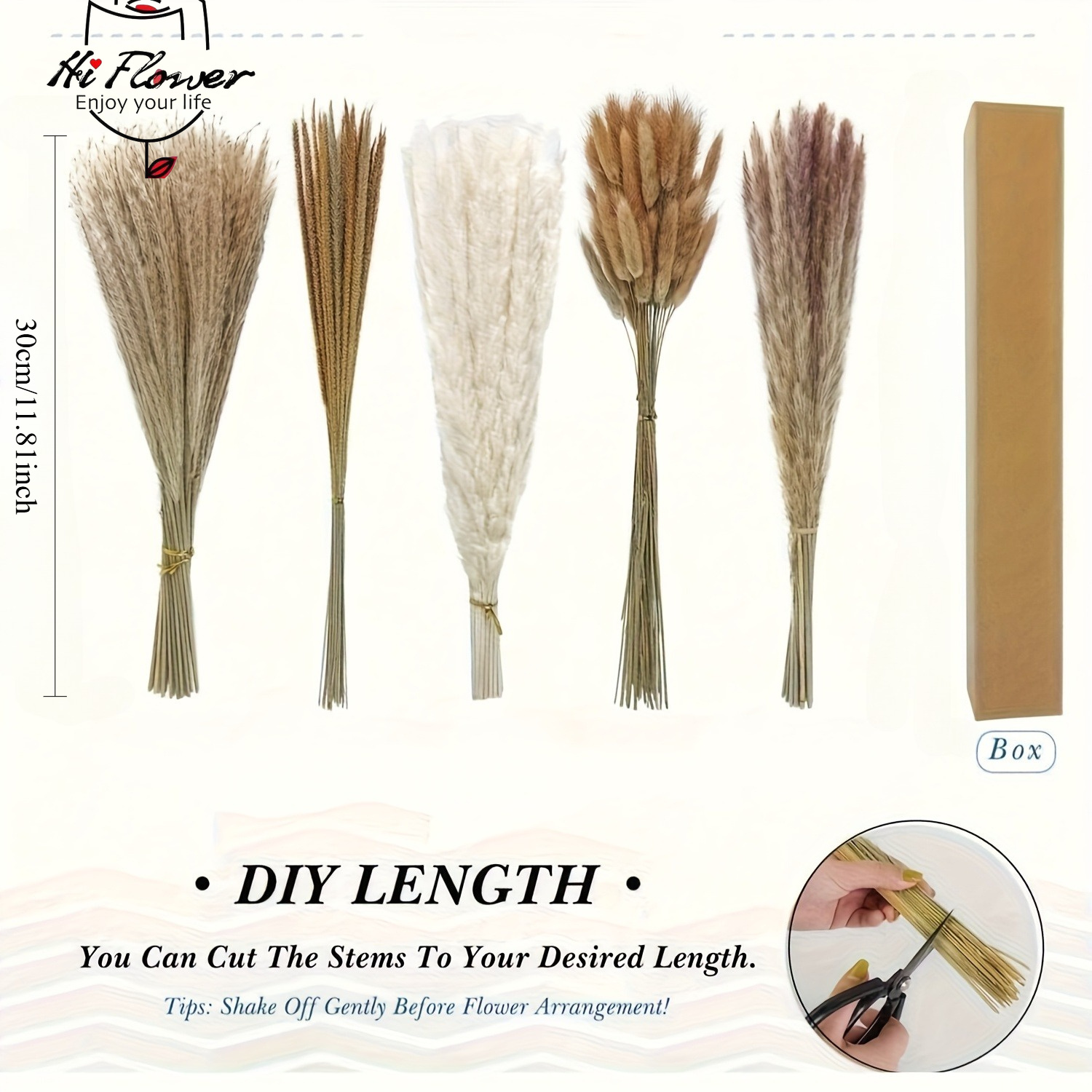 自然乾燥パンパスグラスブーケ、バニーテール、リード、ボヘミア - Pampas Grass Decor のレビューと価格