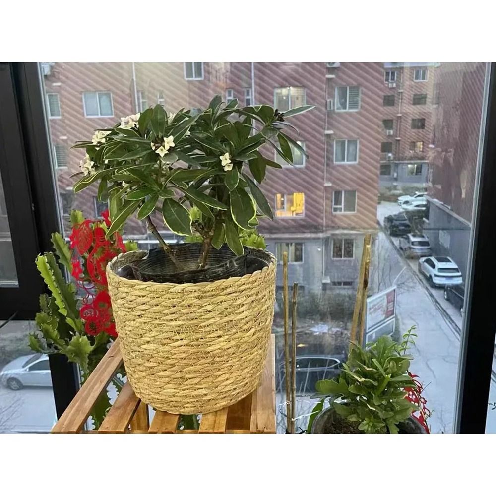 1 個庭のテラス用植木鉢バスケット籐わら家具装飾草織植木鉢ミ - Rattan Plant Basket のレビューと価格